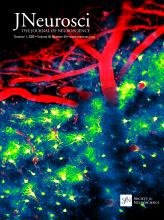 jneuro_2025.jpg